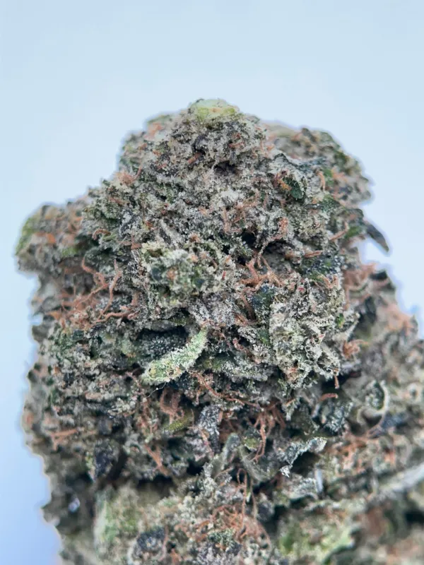 Pink Plug indica cannabis flower 3