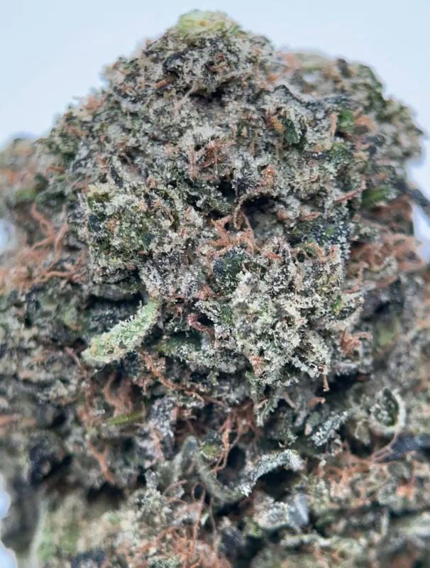 Pink Plug indica cannabis flower 4