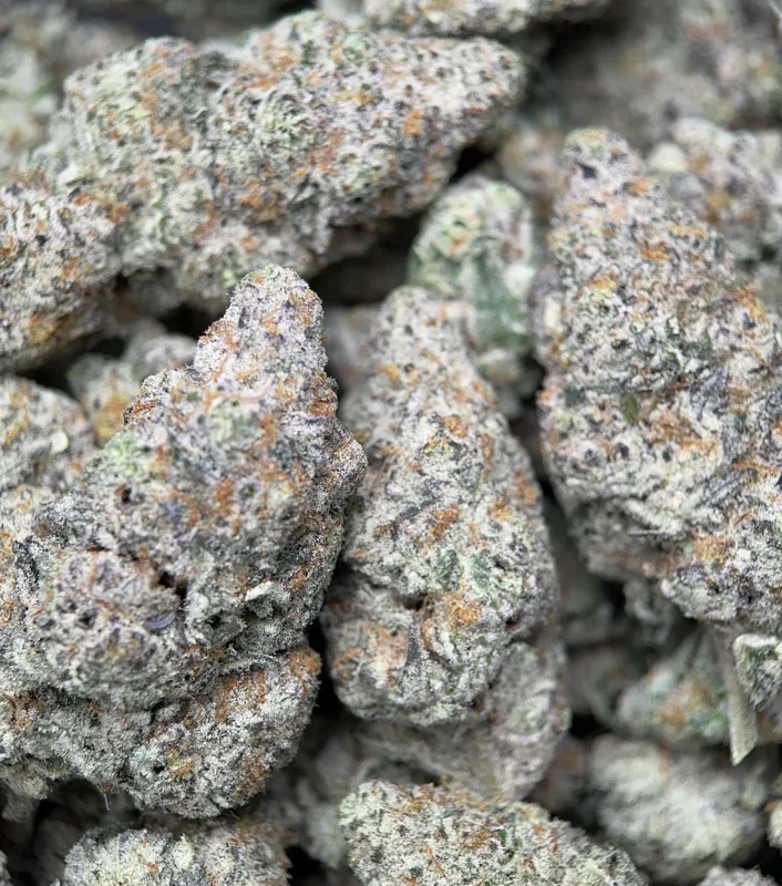 Dense Watermelon Zkittlez Haze cannabis buds with trichomes 6