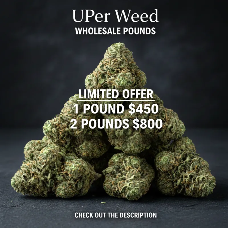 White Widow dense cannabis buds covered in white trichomes 2