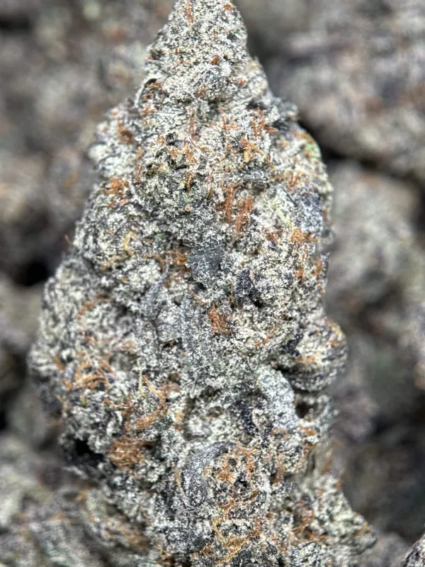 Your First Love indica cannabis flower with a frosted surface 10