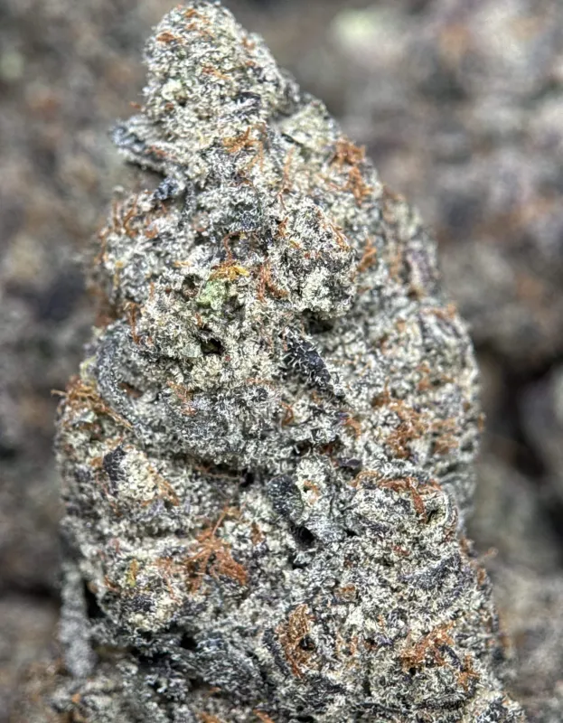 Your First Love indica cannabis flower with a frosted surface 11