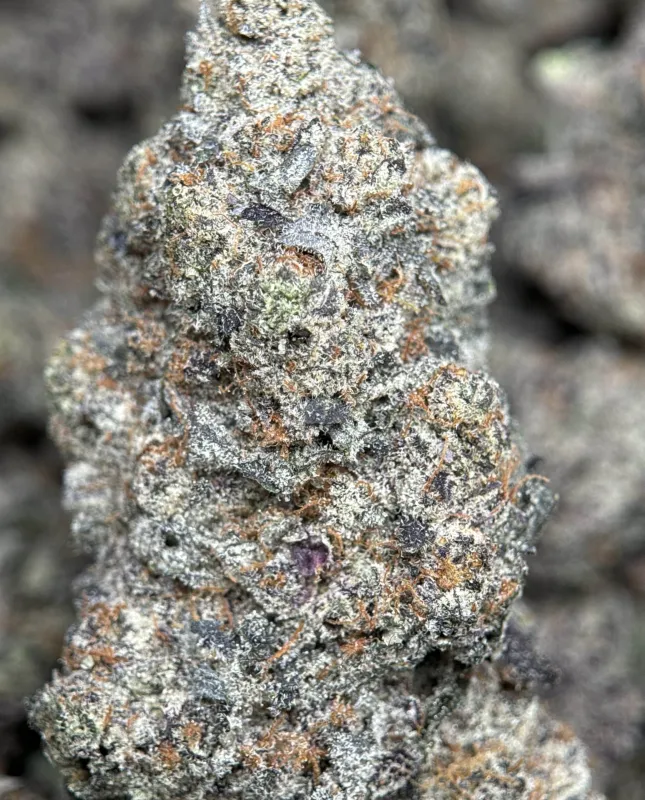 Your First Love indica cannabis flower with a frosted surface 12