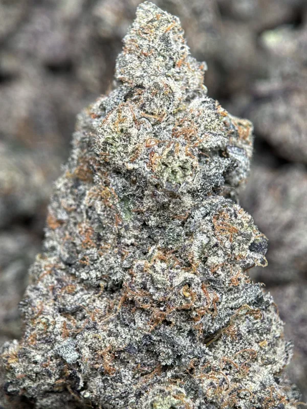 Your First Love indica cannabis flower with a frosted surface 13