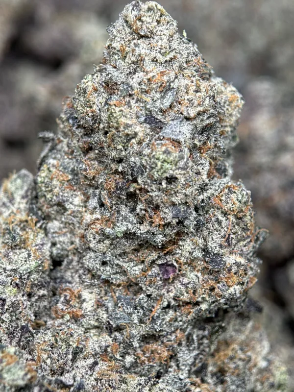 Your First Love indica cannabis flower with a frosted surface 14