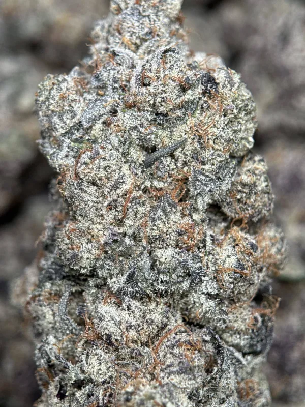 Your First Love indica cannabis flower with a frosted surface 15
