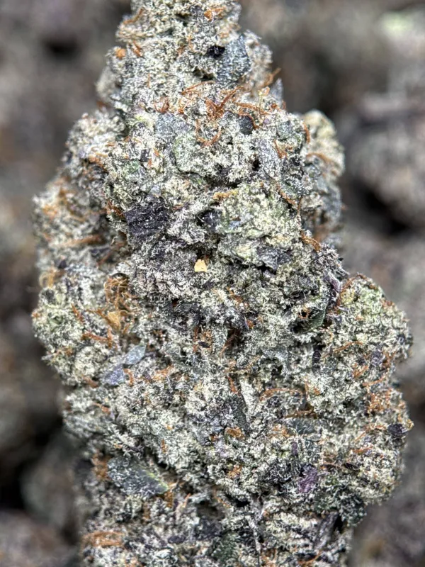 Your First Love indica cannabis flower with a frosted surface 16