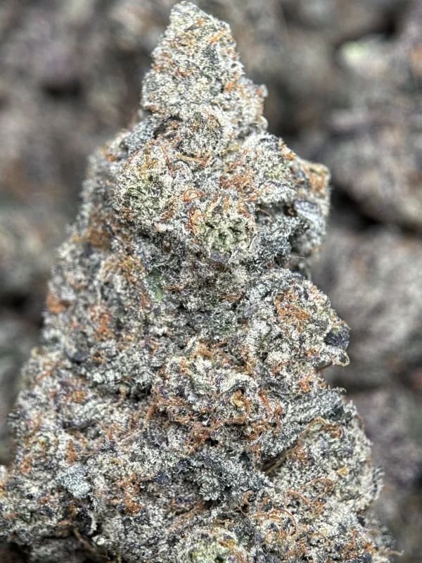 Your First Love indica cannabis flower with a frosted surface 17