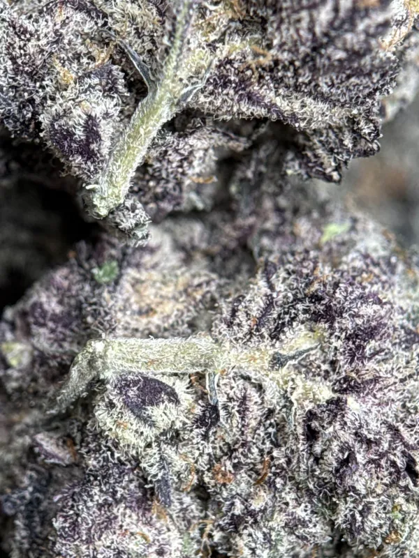 Your First Love indica cannabis flower with a frosted surface 18