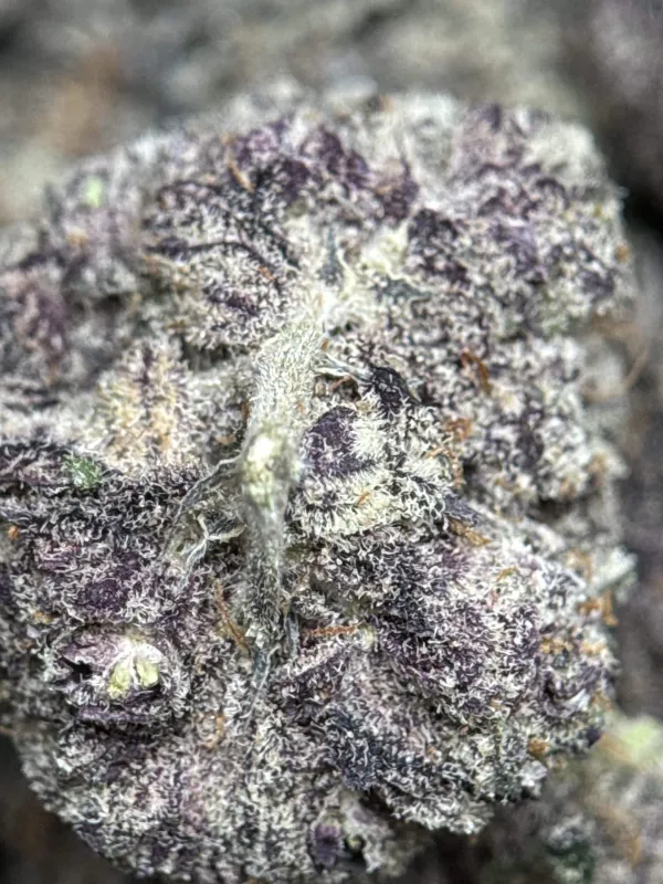 Your First Love indica cannabis flower with a frosted surface 19