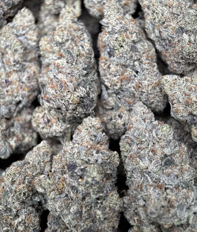 Your First Love indica cannabis flower with a frosted surface 2
