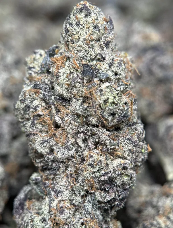Your First Love indica cannabis flower with a frosted surface 6