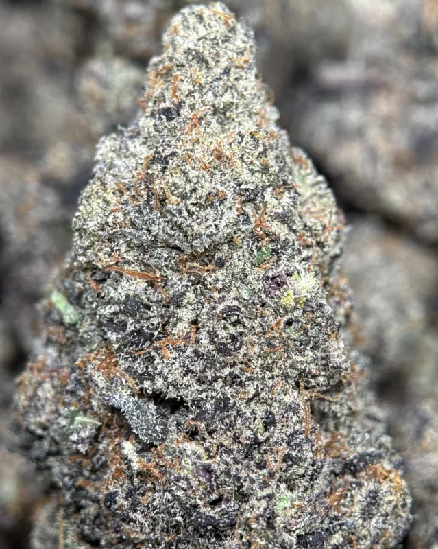 Your First Love indica cannabis flower with a frosted surface 8