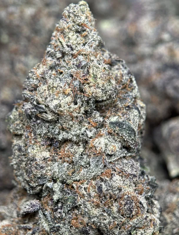 Your First Love indica cannabis flower with a frosted surface 9