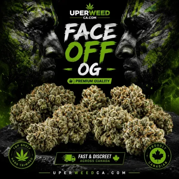 Face Off OG premium Canadian cannabis from Uper Weed